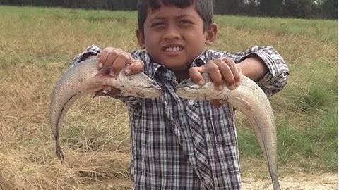 Amazing Fishing Videos by hands-Best Fishing Videos by hands -How to catch big fish-big fishing-- F