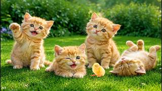 🌸🐱 Cute Kittens Playing Around the Wooden Log – Relaxing Cat Sounds – Cute Cat Video screenshot 1