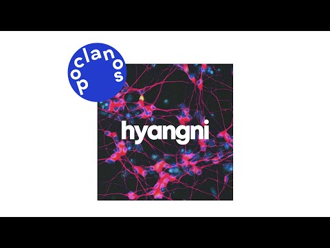 [Official Audio] 향니 (hyangni) - 솔직하게 말해줘요 (Please Be Honest) (feat. Rummer)