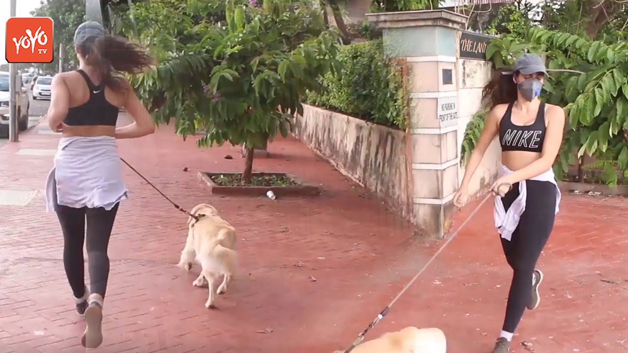 Gabriella Demetriades Spotted With her Dogs || Bollywood Latest News || YOYO Hungama