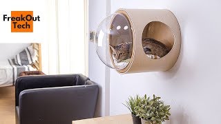 5 Amazing Cat Inventions You Must See
