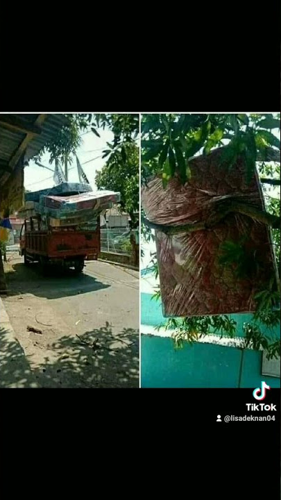 gara'ikan ini mama buang balanga 50 || random 23 #shorts