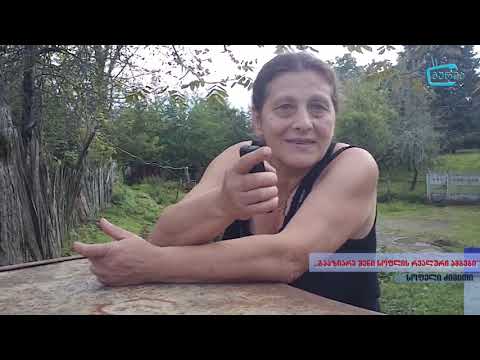 \"გააზიარე შენი სოფლის რეალური ამბები\" -  წყლის პრობლემები ძიმითსა და ნაგომარში