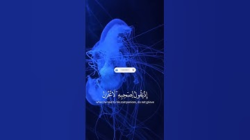 رقران قران كريم بصوت جميل جدا جدا #قرآن #اكسبلور #المصحف #قرآن_كريم