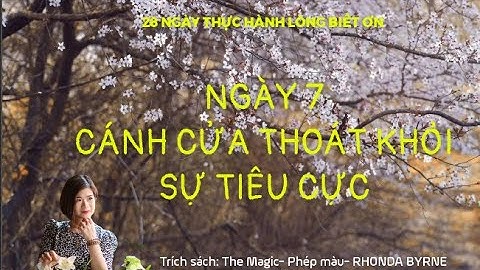Thực Hành Lòng Biết Ơn Ngày 7| Cánh cửa thoát ra khỏi sự tiêu cực | The Magic Phép Màu| Trang Mon