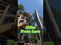 Forest Adventure | Misato Kumamoto Japan