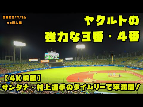 【４K映像】ヤクルトの強力な３・４番　サンタナ・村上選手のタイムリーで傘満開！　2023/7/16 vs巨人