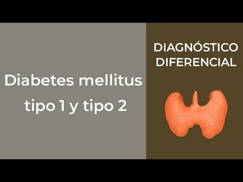 Vídeo: Diferencia Entre Diabetes Mellitus Tipo 1 Y Tipo 2