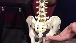 How to Treat Low Back Arthritis | Susquehanna Spine Lancaster | Westside-Medical