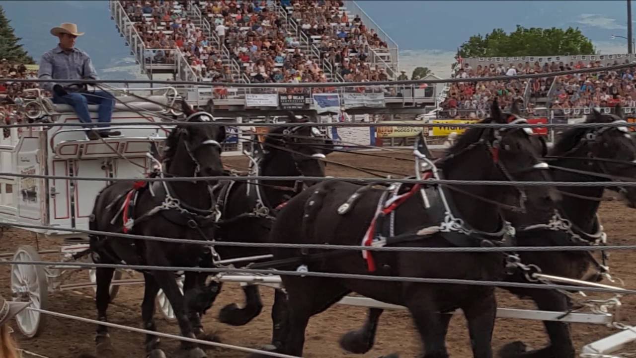 2016 Livingston, Montana, Roundup Parade & Rodeo YouTube