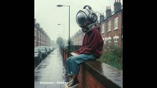 boztown - where you go ( lofi calm chill hip hop soul meaty beats samples ) dh118