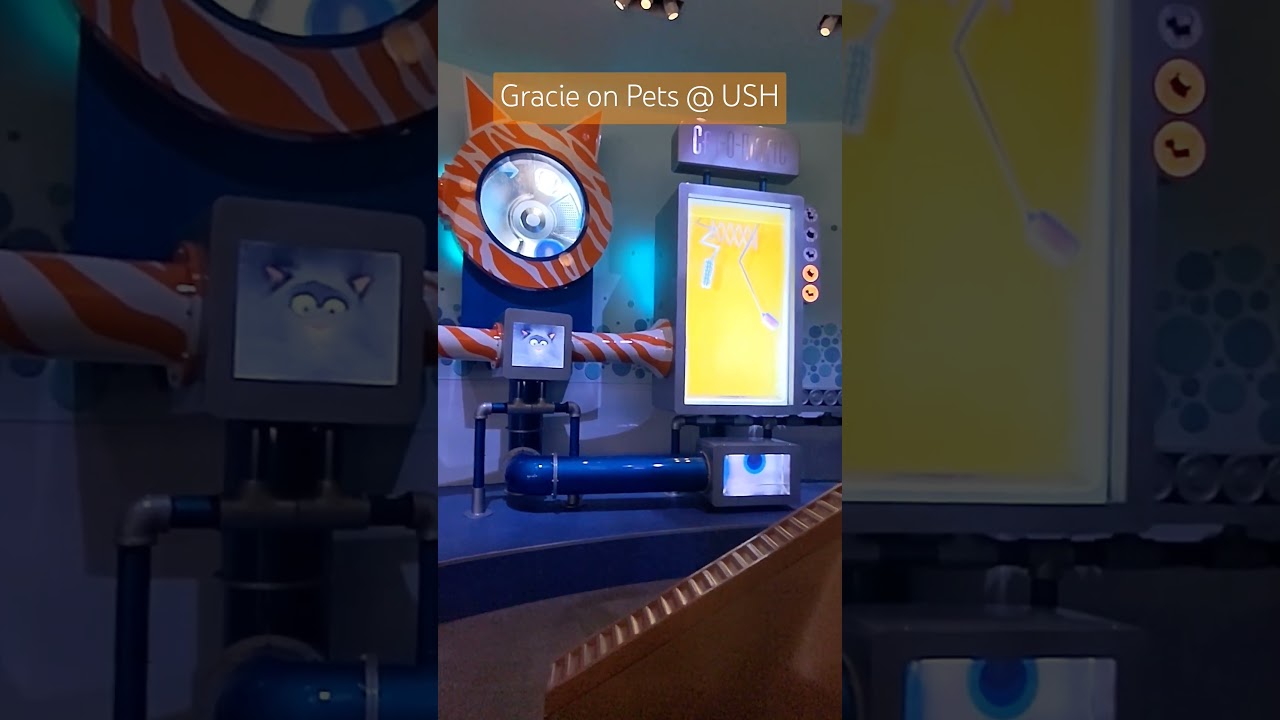 Gracie on Pets @ USH 