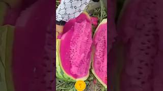 Watermelon 🍉 😋pink colour       #ytshorts #fruit #satisfying #colour #nature #farming
