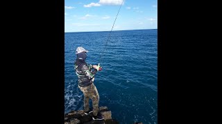 light shore jigging dalla scogliera in puglia