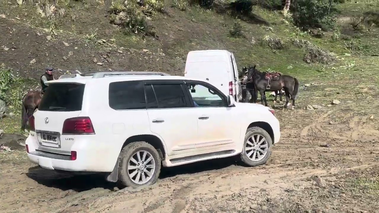 Кен кол улактан кийин