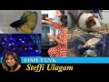 Fish Tank setup in Tamil | Aquarium Setup in Tamil | Pet store tour in Tamil