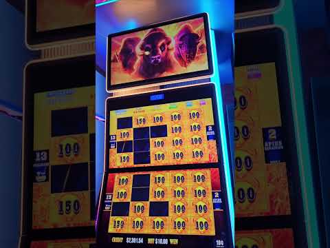 DOUBLE UP ON THE NEW DOUBLE BUFFALO!!!!!