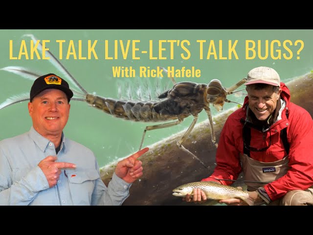 Lake Talk Live-Let's Talk Bugs! 