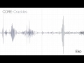 Crackles recording  waveform  eko health