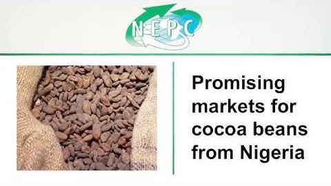 Promising Markets - Cocoa Beans from Nigeria