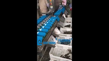 Sea Cucumber Rotary Sorting Machine