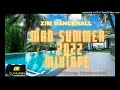 PART 2 ZIM DANCEHALL MAD SUMMER MIXTAPE 2022 BY DJ NUNGU (DECEMBER 2022)