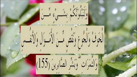 القران الكريم سورة البقرة الاية 155