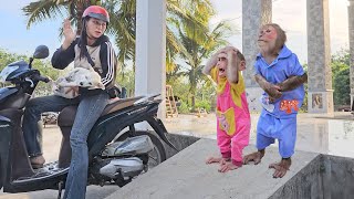 Monkey SU & Kuku did unbelievable surprisesdid while wait mom take dog re examination