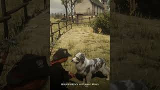 We love pets in RDO #shorts #reddeadonline #rdo #animals #pets #dogs