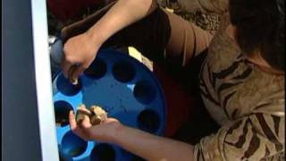 Planteuse De Pomme De Terre Semi Automatique - Agriprocess