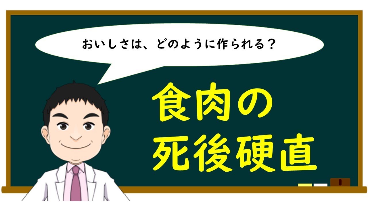 死後硬直の原理について - YouTube