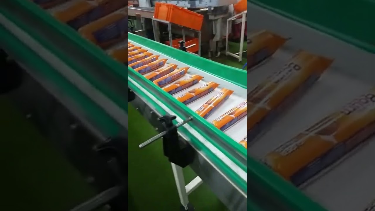 How conveyor works | Conveyor Working in food company |