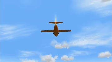 FS2004 Crashes: Out Of Gas