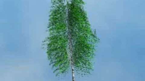 Blender Birch Tree with NgPlant