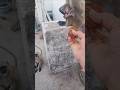 monkey shorts video।। animal video #trandingshorts #funnyvideo #shortvideo