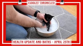 Cuddles' Chronicles!  April 25th  Health Update and Baths.