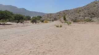 El DAKAR 2014 por Payogastilla