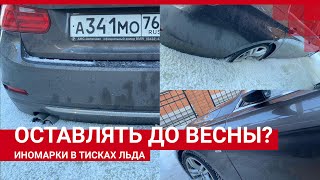 BMW и еще пять машин примерзли к земле | 63.RU