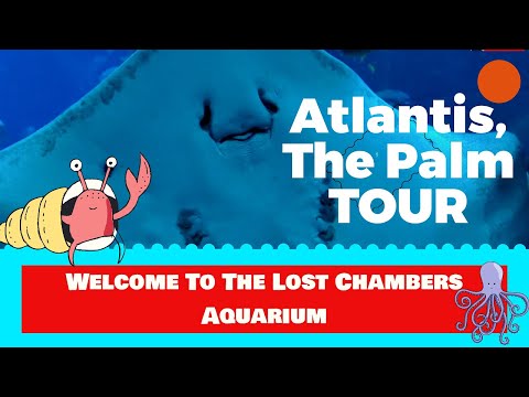 11 million litre aquarium। Atlantis Dubai। The Ambassador Lagoon