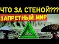 ОН СНЯЛ ЗАПРЕТНЫЙ МИР - ЗА ЛЕДЯНОЙ СТЕНОЙ АНТАРКТИДЫ и Австралии!