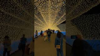 Nabana no sato mie ken #travel #japan #trend #illumination #pinoytraveler #travel