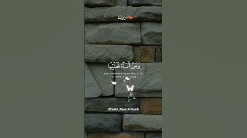 من عمل صالح فلنفسه .القارئ رعد الكردي .حالات واتس .قران كريم
