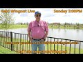 Gold Wingnut Live #20 6/23/2024 at 3:00 PM