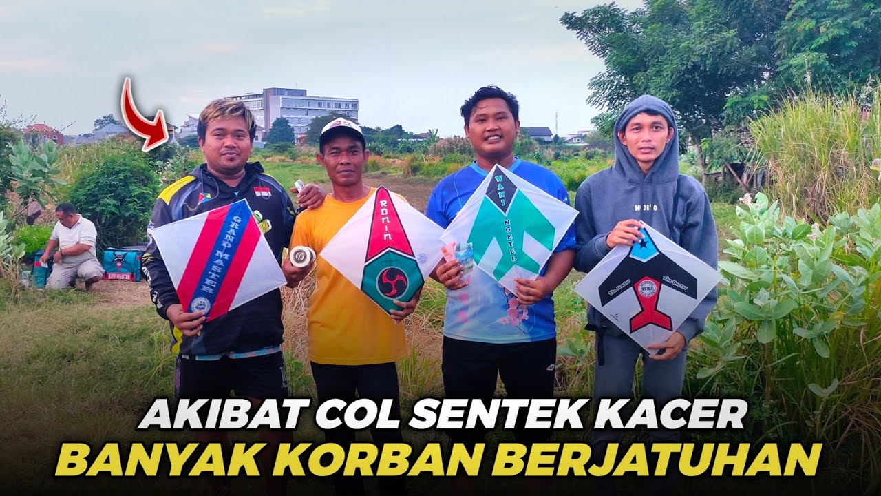 COL SENTEK BERKELAS ‼️ INILAH BUKTI KEHEBATAN KACER MESKIPUN DISERANG TIDAK TUMBANG