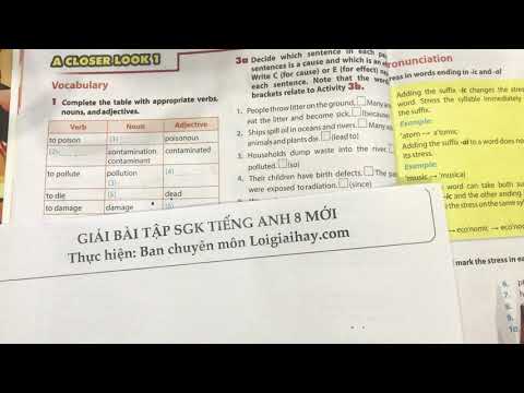 Video A Closer Look 1 trang 8 Unit 7 SGK Tiếng Anh 8 mới - youtube