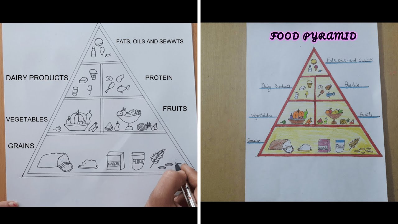 Food pyramid drawing  How to draw food pyramid  Food chart drawing for  project  YouTube