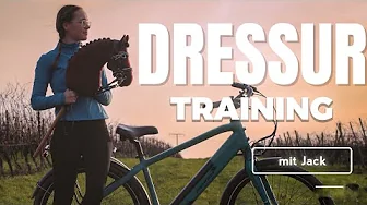 Dressurtraining mit Jack 👩🏼‍🏫 | _hobbyhorsing_de