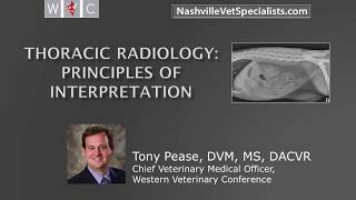 Thoracic Radiology: Principles of Interpretation screenshot 4