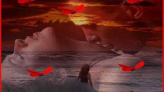 Miniatura del video "VINKO COCE....RUŽO MOJA.wmv"