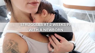 STRUGGLES AT 2 WEEKS PP WITH A NEWBORN BABY | HONEST UPDATES